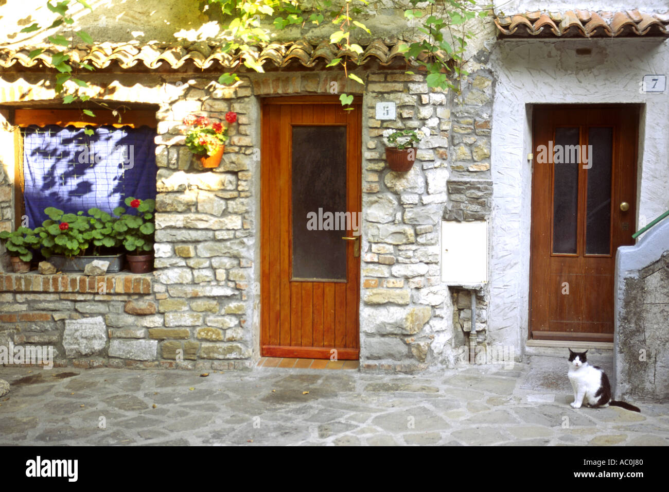 Eine Katze vor einem Haus in der alten Stadt von Grado in Italien. Stockfoto