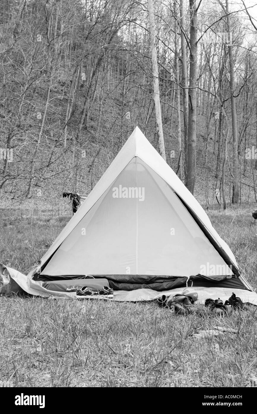 Ein Zelt im Wald Stockfoto