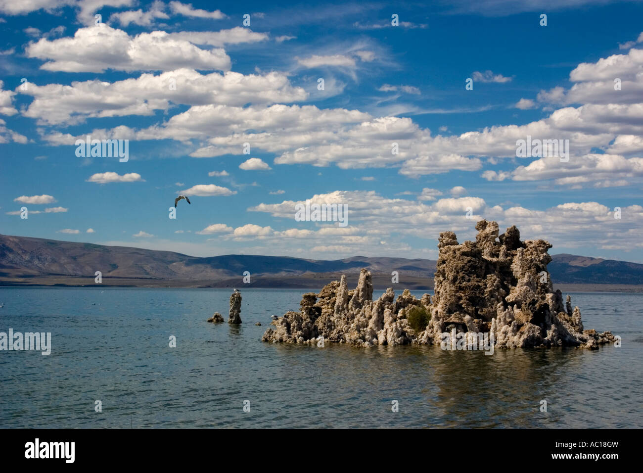 Mono Lake ist ein alkalisches und Hypersaline See in Mono County, Kalifornien Stockfoto