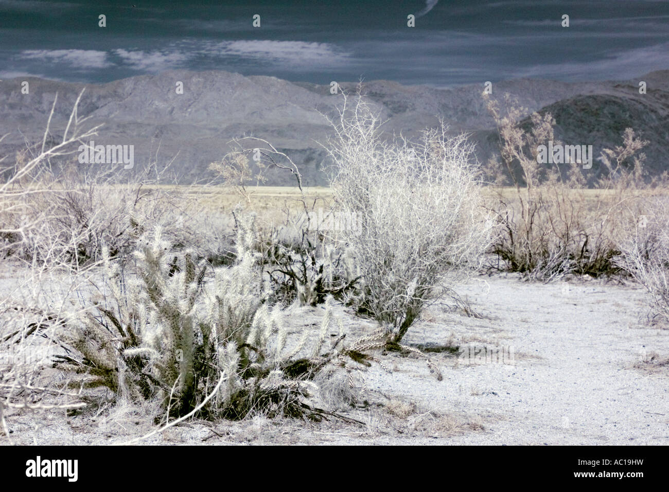 Anza-Borrego Wüste in Infrarot Stockfoto