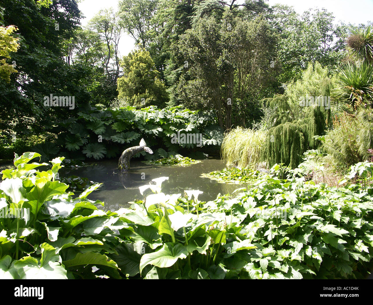In den kleinen Teich gibt es eine Delphin-Statue im Trewidden Garten. Stockfoto
