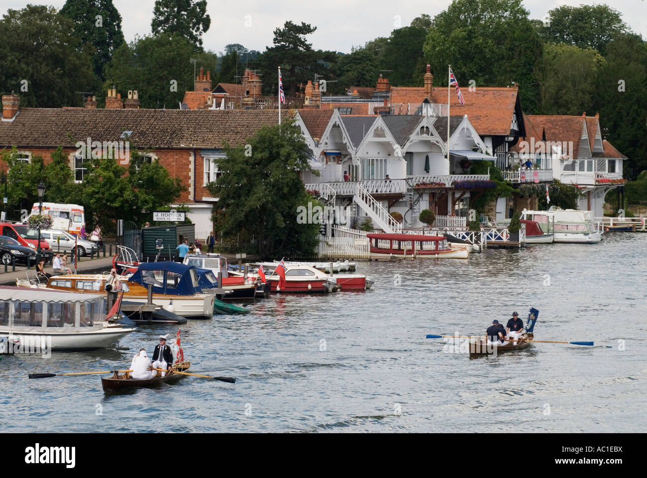 Schwan auf der Themse Henley auf der Themse Oxfordshire England Die Winzer und Dyers Company Skiffs 2000s 20007 HOMER SYKES Stockfoto