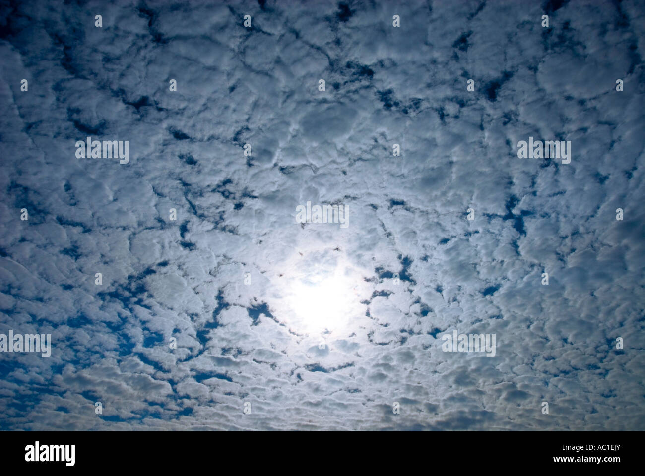 Sonne hinter Wolken Altocumulus Makrele im Gegenlicht Stockfoto