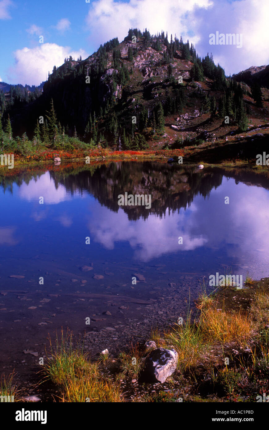 Reflexion in einem Tarn in sieben Seen Becken Olympic Nationalpark Washington Stockfoto