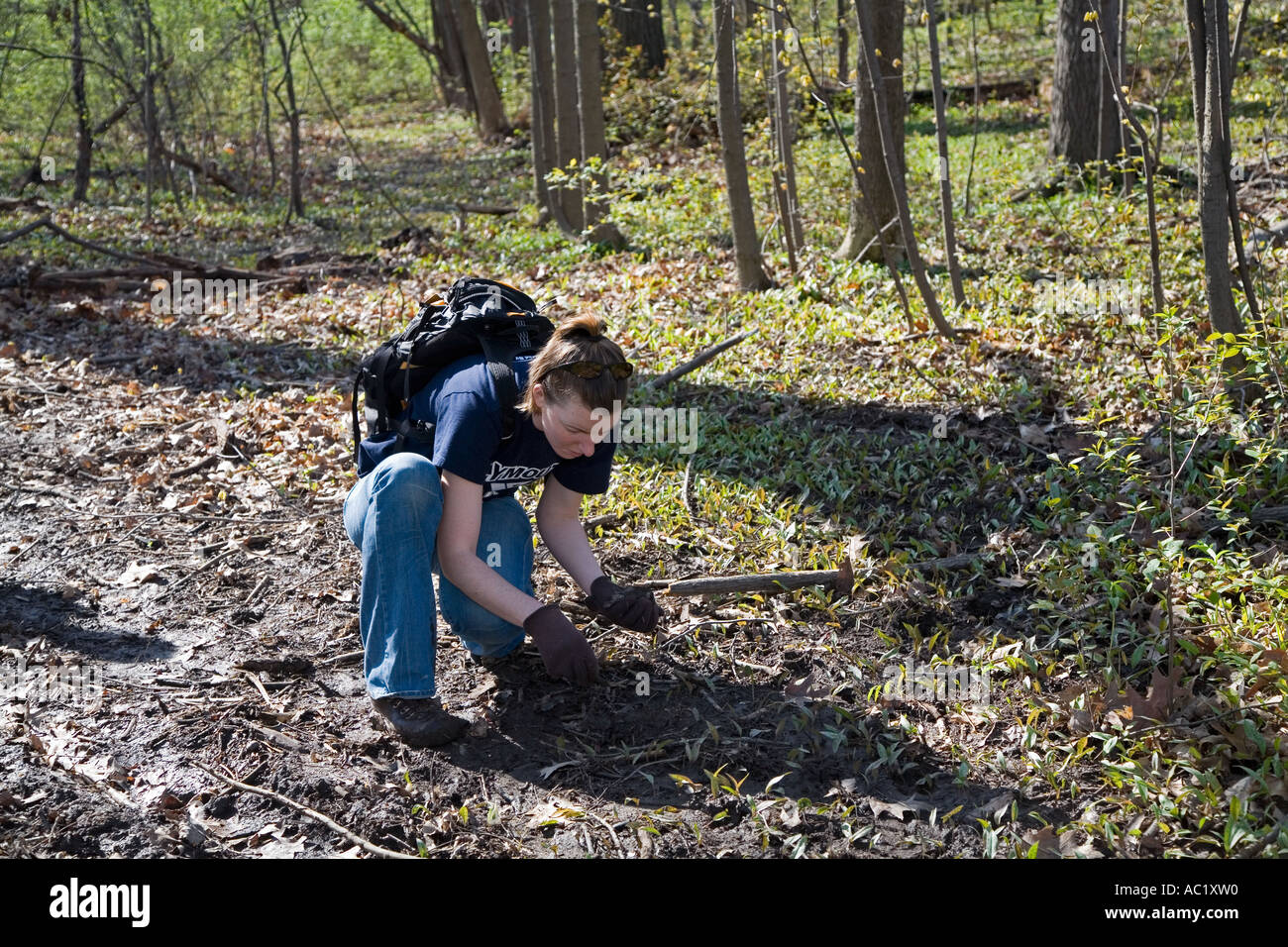 Freiwillige reinigen Müll vom Park am Earth Day Stockfoto