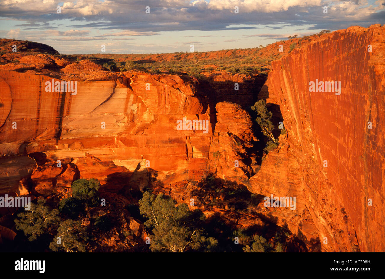 Steilen Sandsteinfelsen an Spitze des Canyon, (Kings Canyon) Watarrka National Park, Northern Territory, Australien, Horizontal, Stockfoto