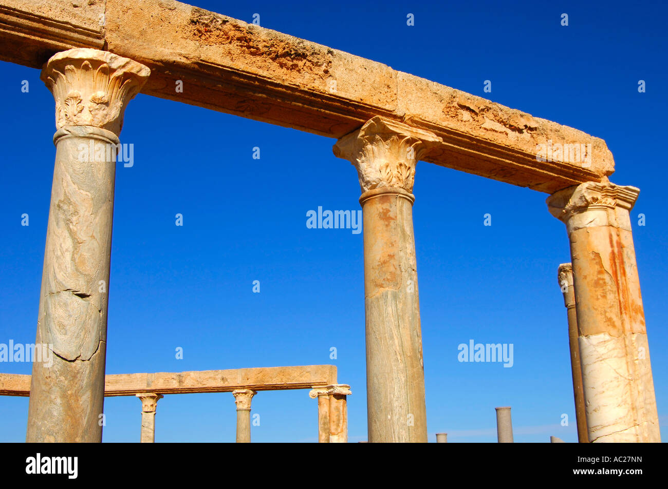 Römische Ruinen von Leptis Magna Libyen Stockfoto