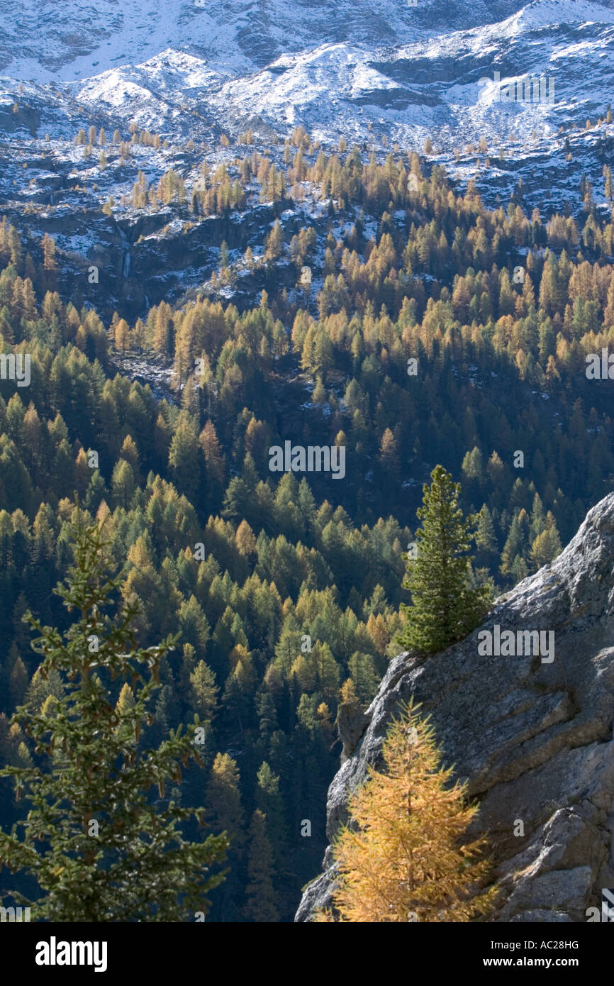 Beginn des Herbstes im Martelltal in den italienischen Alpen Stockfoto