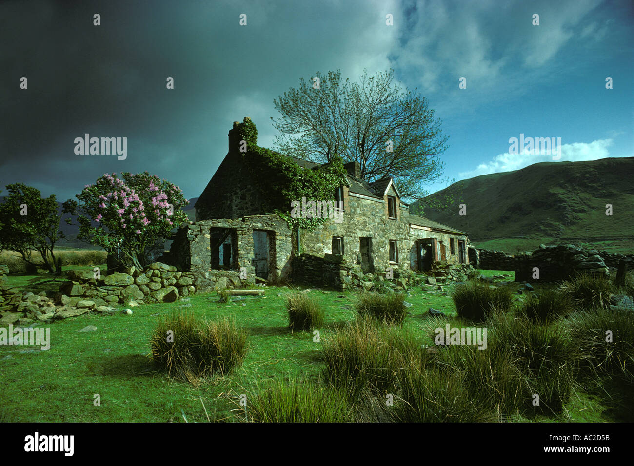 Verfallenes Bauernhaus in der Landschaft SNOWDONIA WALES VEREINIGTES KÖNIGREICH EUROPA Stockfoto