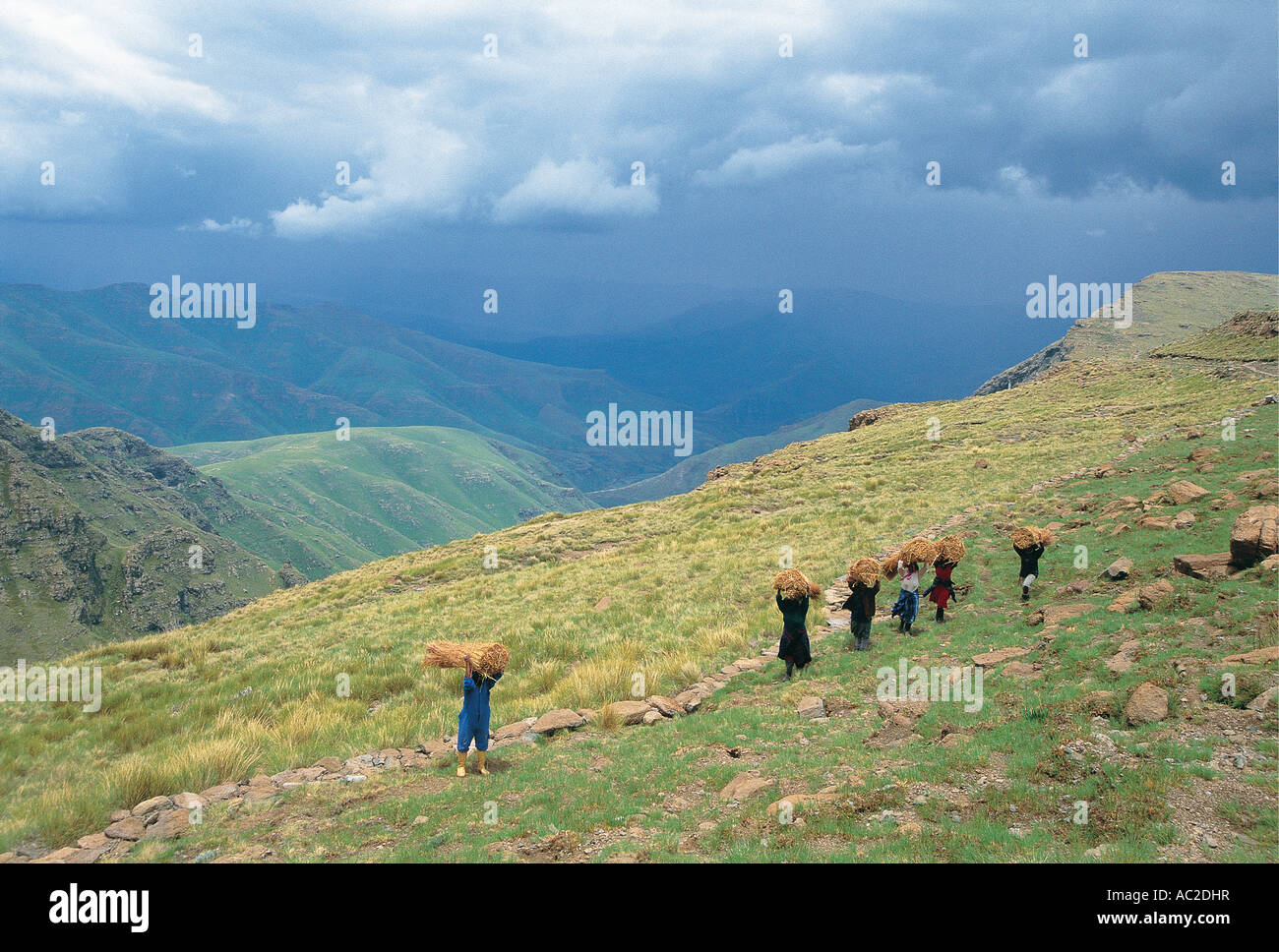 Frauen tragen schwere Lasten auf Heads-up den Berghang in der Nähe von Katse Dam Lesotho Stockfoto