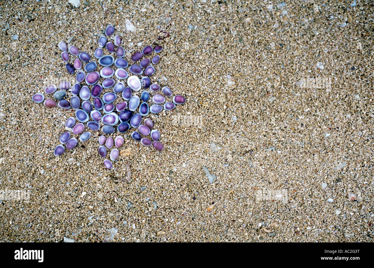 Sonne, Sand und Muscheln. Stockfoto