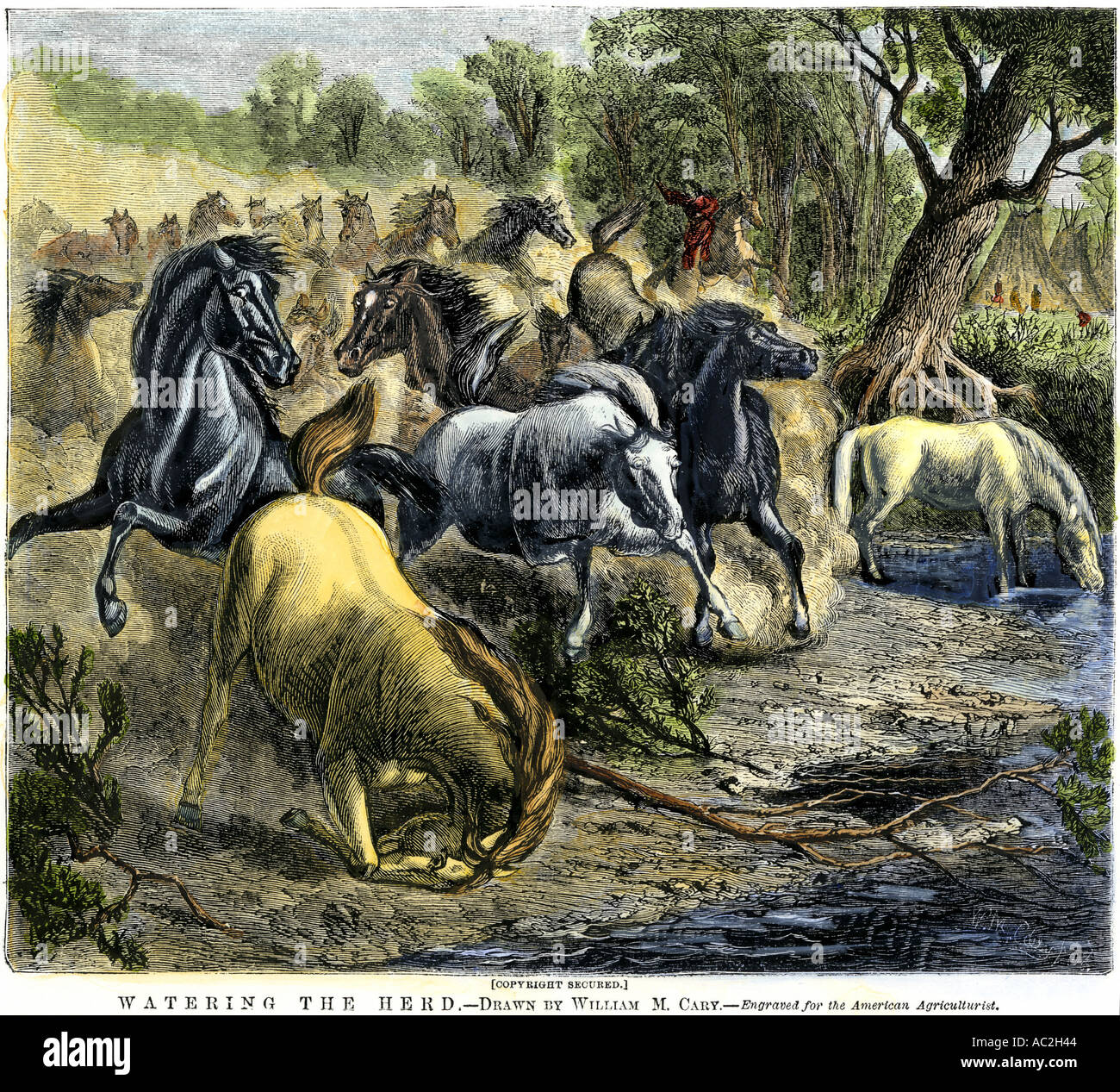 Die Indianer ihre Pferde Herde auf dem Great Plains zu Wasser. Hand - farbige Holzschnitt Stockfoto