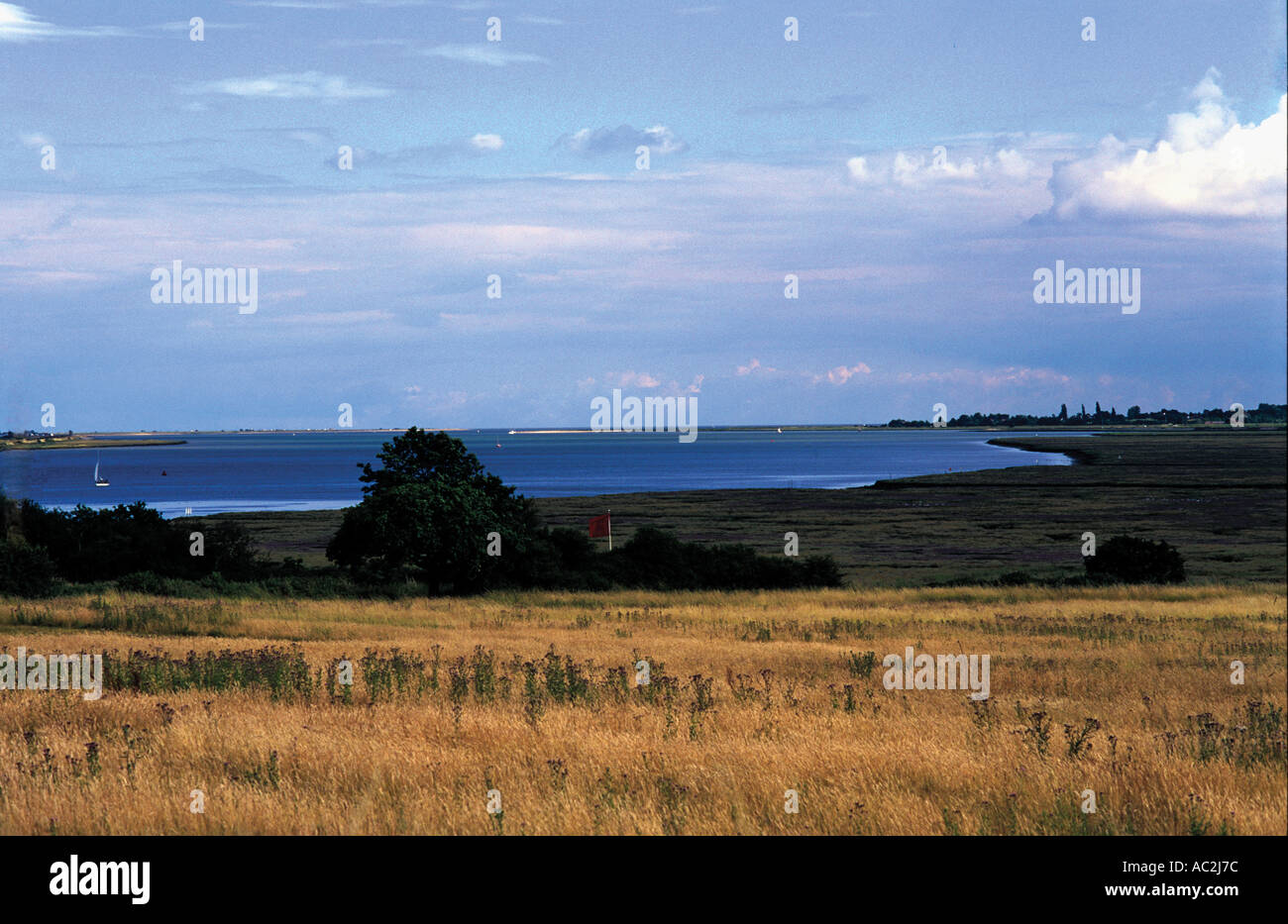 Naturschutzgebiet an der Mündung des Flusses Colne in Richtung Brightlingsea Essex Stockfoto