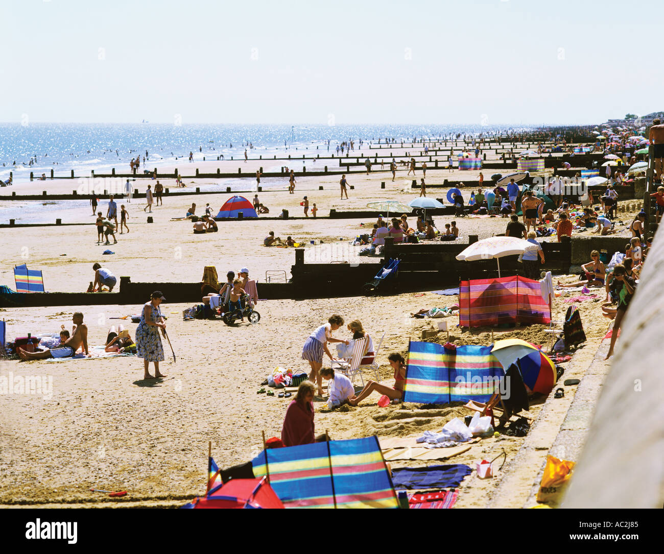 Scharen von Besuchern inmitten der Buhnen auf den goldenen sandigen Strand Frinton an einem heißen Sommertag Stockfoto