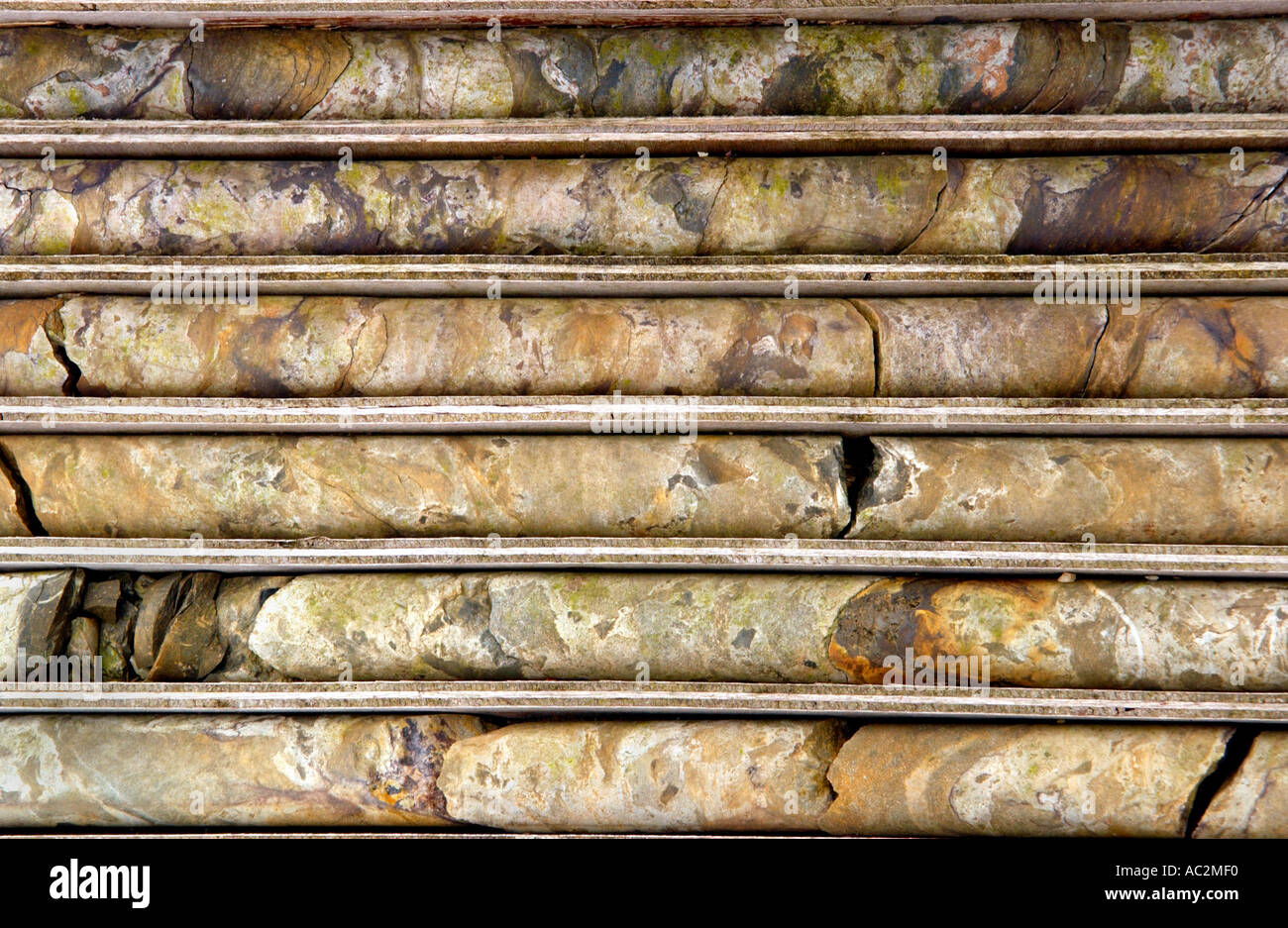 Kerne von Explorationsbohrungen in Parys Berg Kupfer mine die seit der Bronzezeit auf Anglesey North Wales UK gearbeitet hat Stockfoto