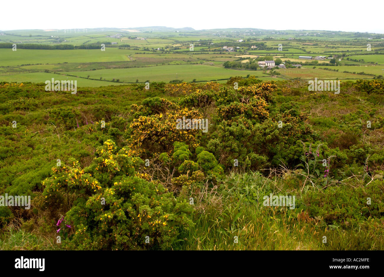 Blick vom Berg Parys über Landschaft in der Nähe von Amlwch Anglesey North Wales UK Stockfoto