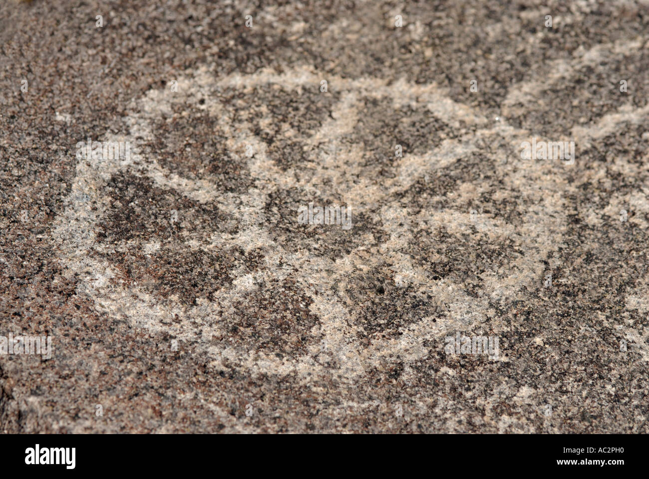 Indianische Petroglyphen Felskunst, Signal Hill, Saguaro National Park, Arizona, USA Stockfoto