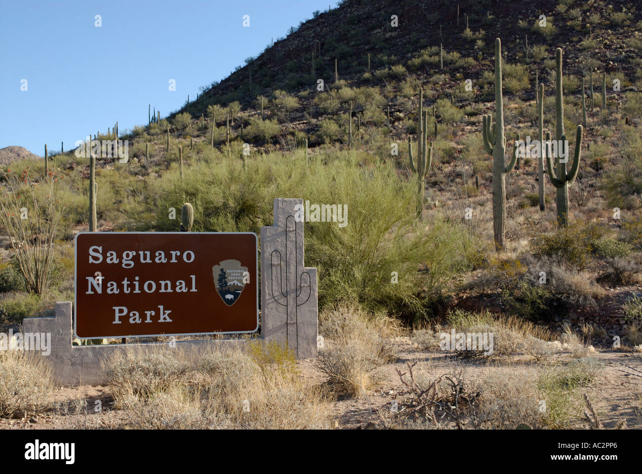 Ortseingangsschild für Saguaro National Park, Arizona, USA, mit Kakteen im Hintergrund Stockfoto