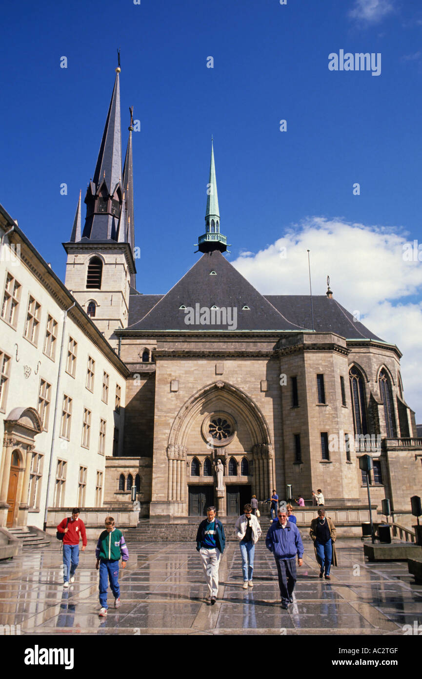 Anstecknadel Mit Flagge Der Luxemburger Kathedrale Notre Dame - Metall