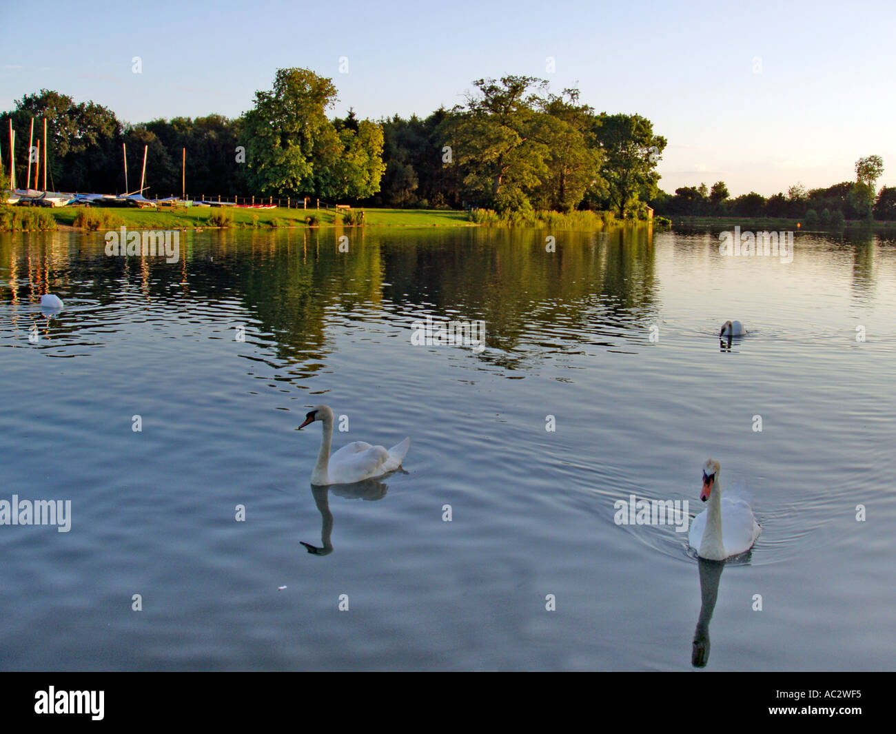 Himley Park Dudley West Midlands England Europa Stockfoto