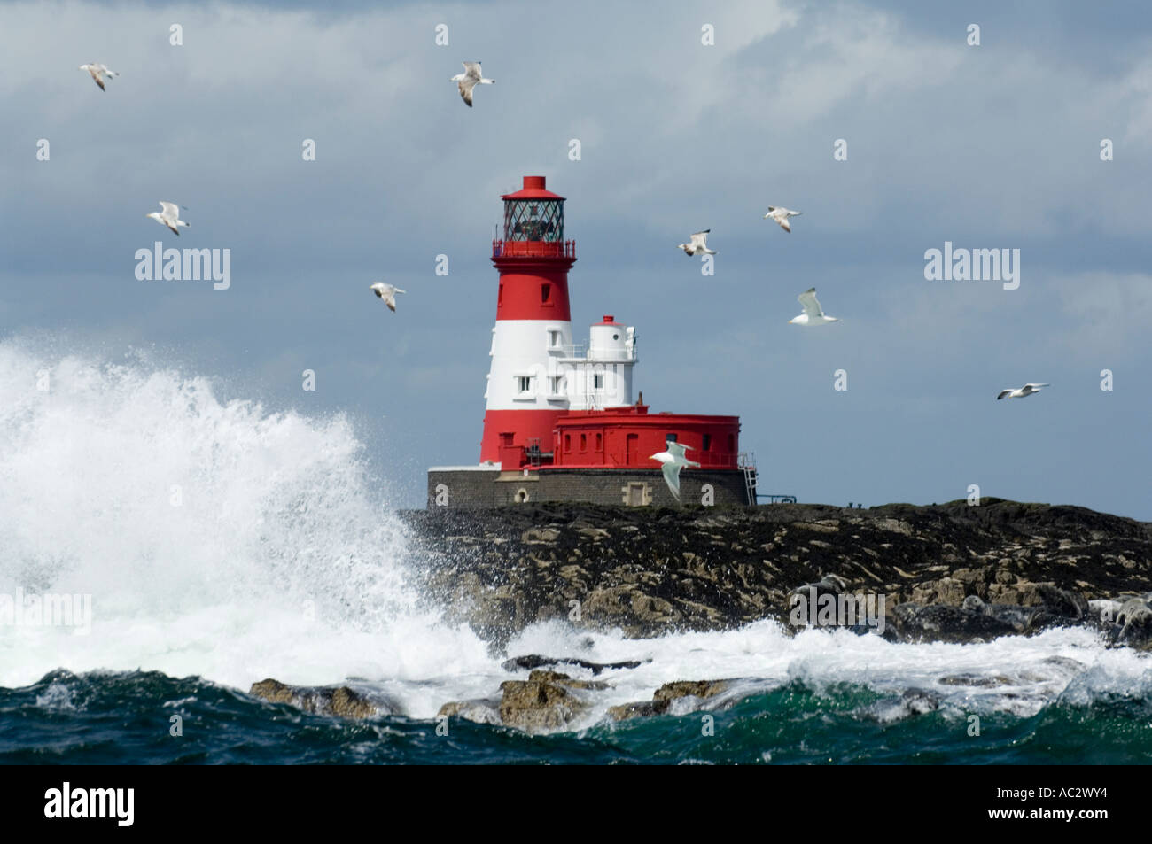 Longstone Leuchtturm mit stürmischer See und fliegende Vögel, Farne Islands, Northumberland Küste, England, UK, Europa Stockfoto