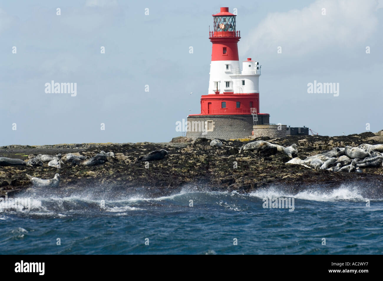 Longstone Leuchtturm, Farne Islands, Northumberland Küste, UK, Europa Stockfoto