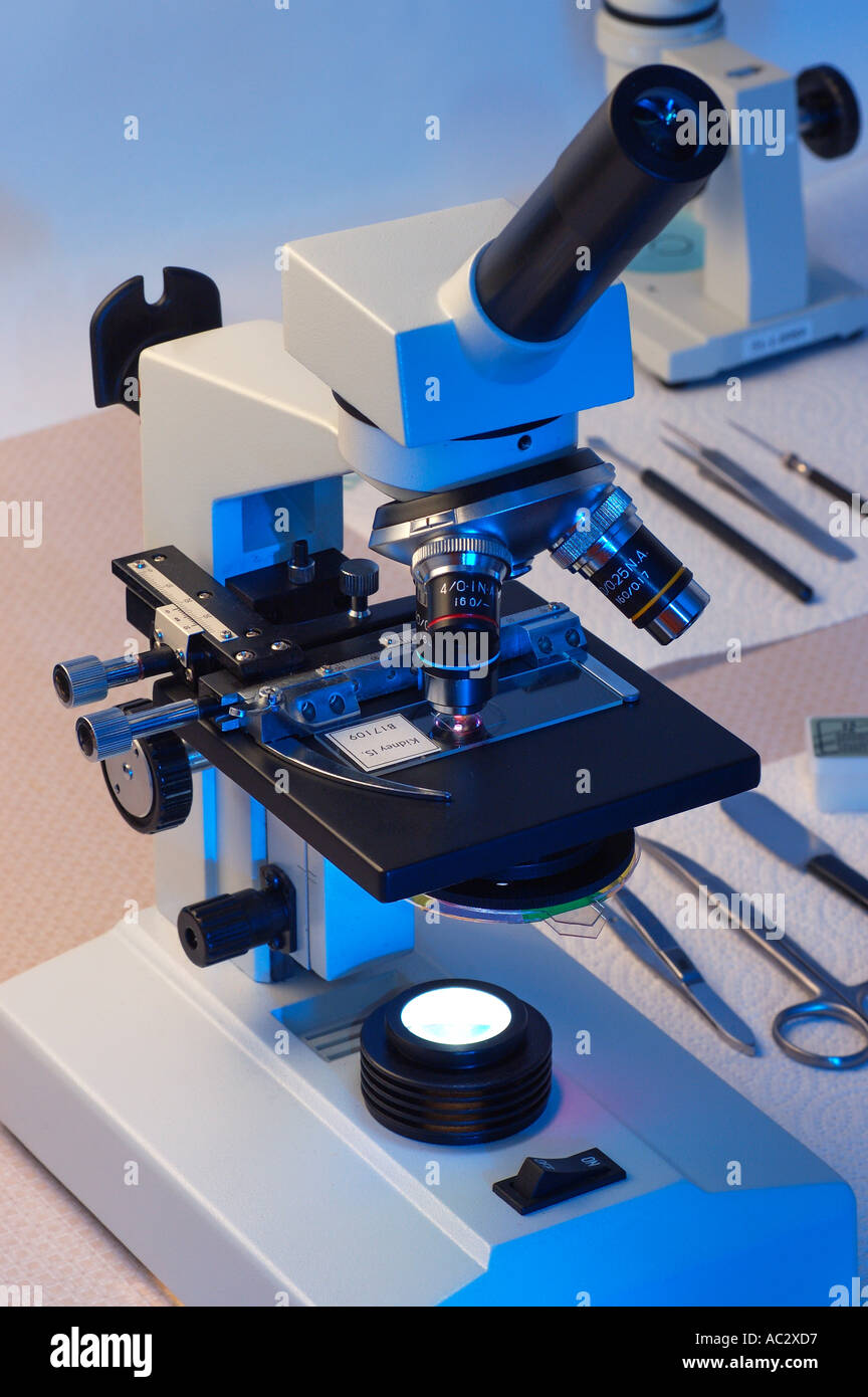 Hellen Mikroskop und Werkzeuge in einem Labor Stockfoto