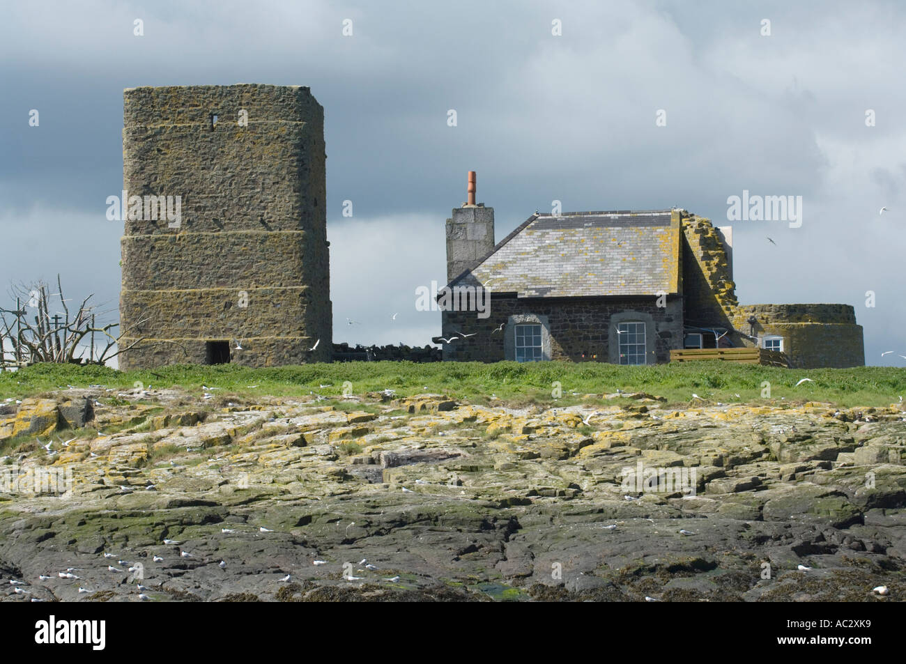 Kirche auf den Farne Islands, Northumberland, England, Vereinigtes Königreich, Europa Stockfoto