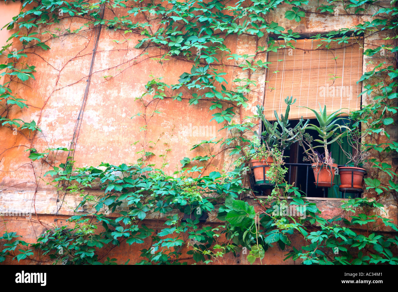 Reisefotografie aus Italien Rom Rom Rom Trastevere Fenster Rollladen Fensterläden südlichen mediterranen Stil styl Stockfoto