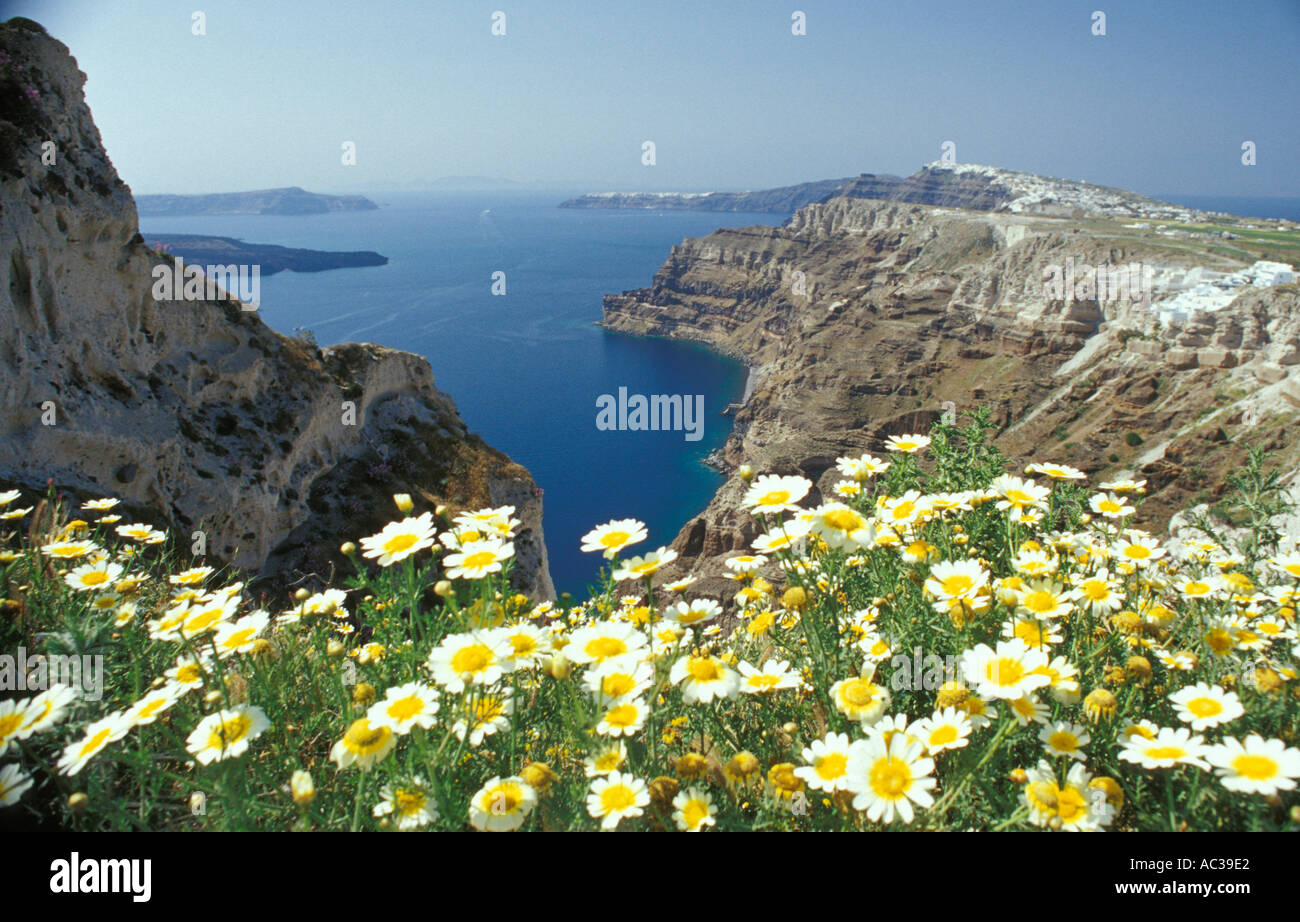 Caldera-Klippen von Santorini Griechenland im Frühling Stockfoto