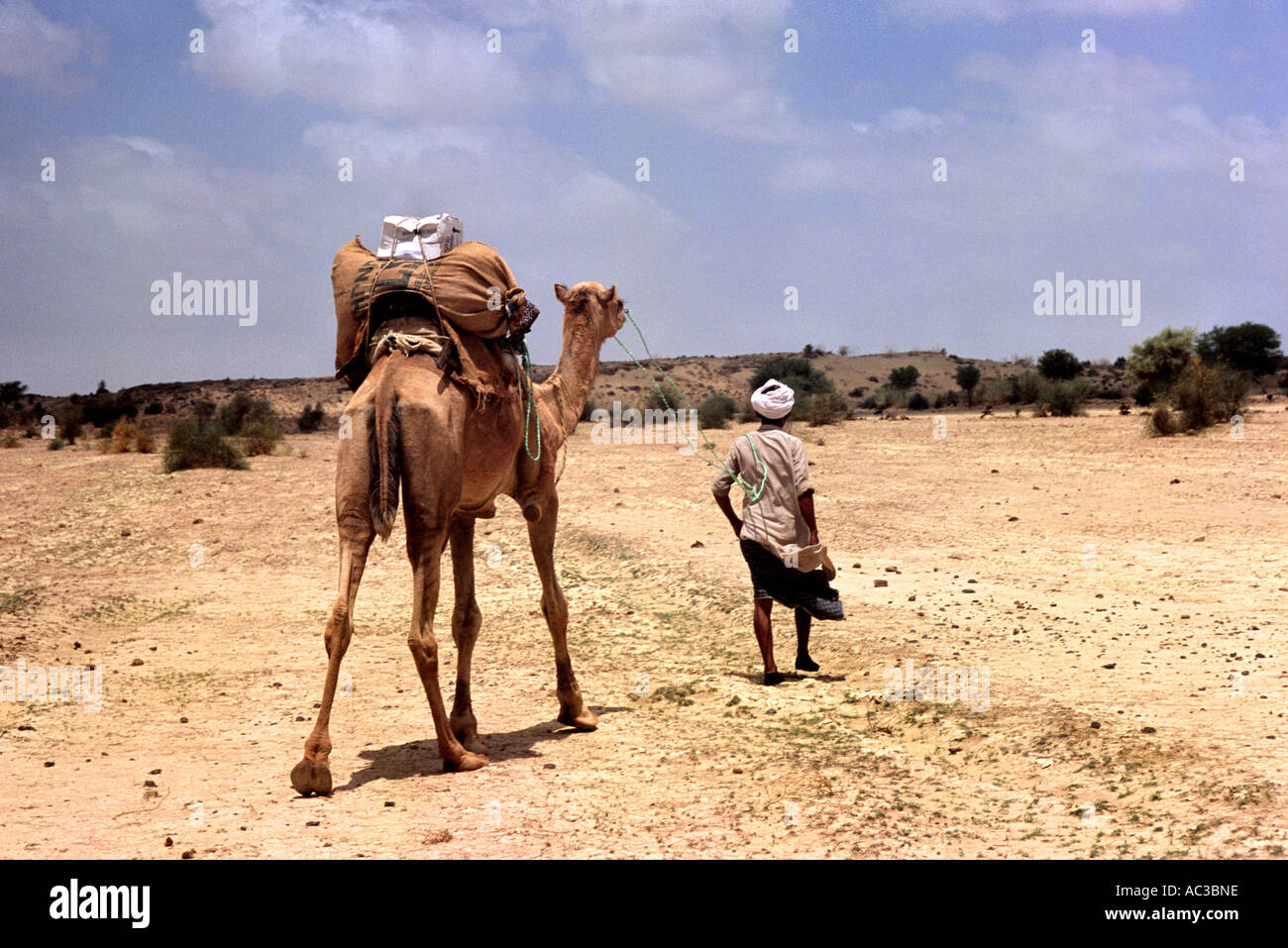 Kamelritt in Jaisalmer Stockfoto
