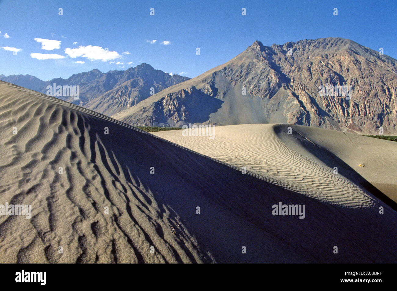 Dünen im Himalaya Stockfoto