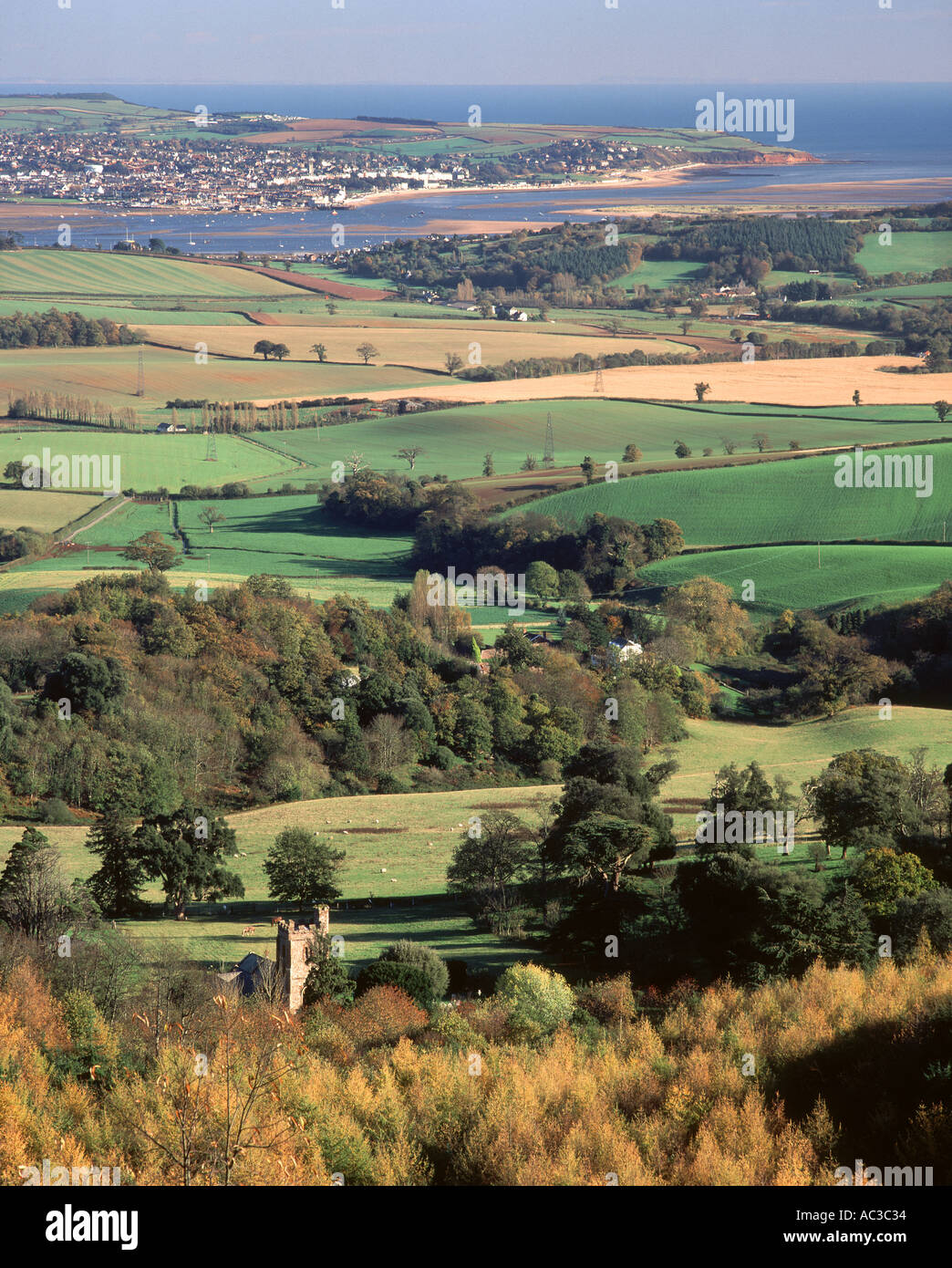 Ein Blick auf die Mündung des Flusses Exe von Haldon Hügel Nr. Exeter Devon Great Britain Stockfoto