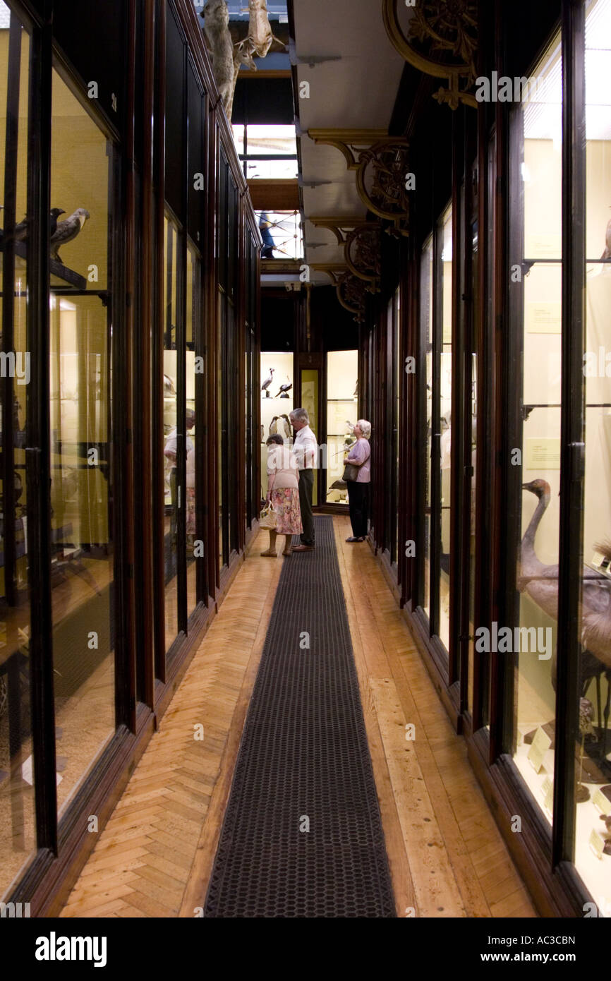 Zoological Museum Tring Walter Rothschild Stockfotos und bilder Kaufen