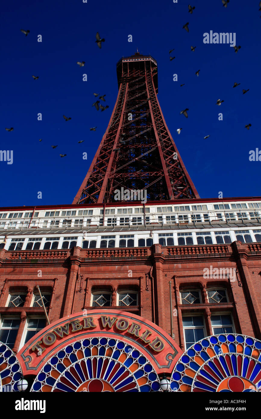 Blackpool Tower. Foto von Kim Craig. Stockfoto