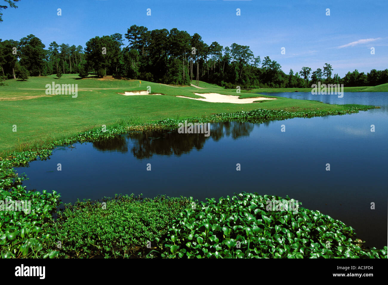 Alabama, Robert Trent Jones Golf Trail, Prattville, Capitol Hill, 16. Loch und See, beurteilen Stockfoto