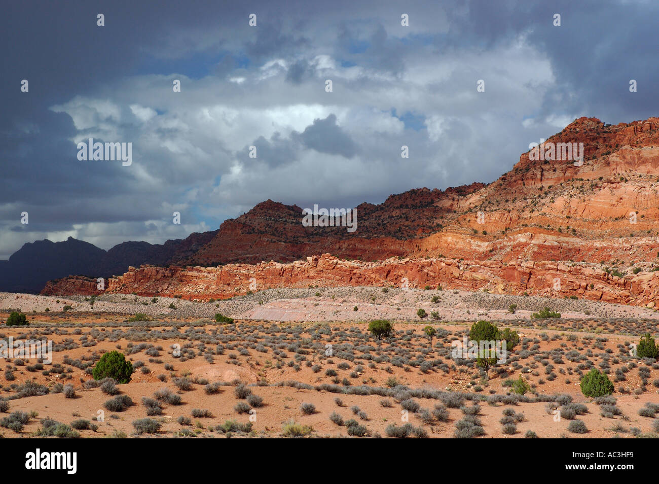 Gewitterwolken in der Wüste am Echo Cliffs Arizona USA Stockfoto
