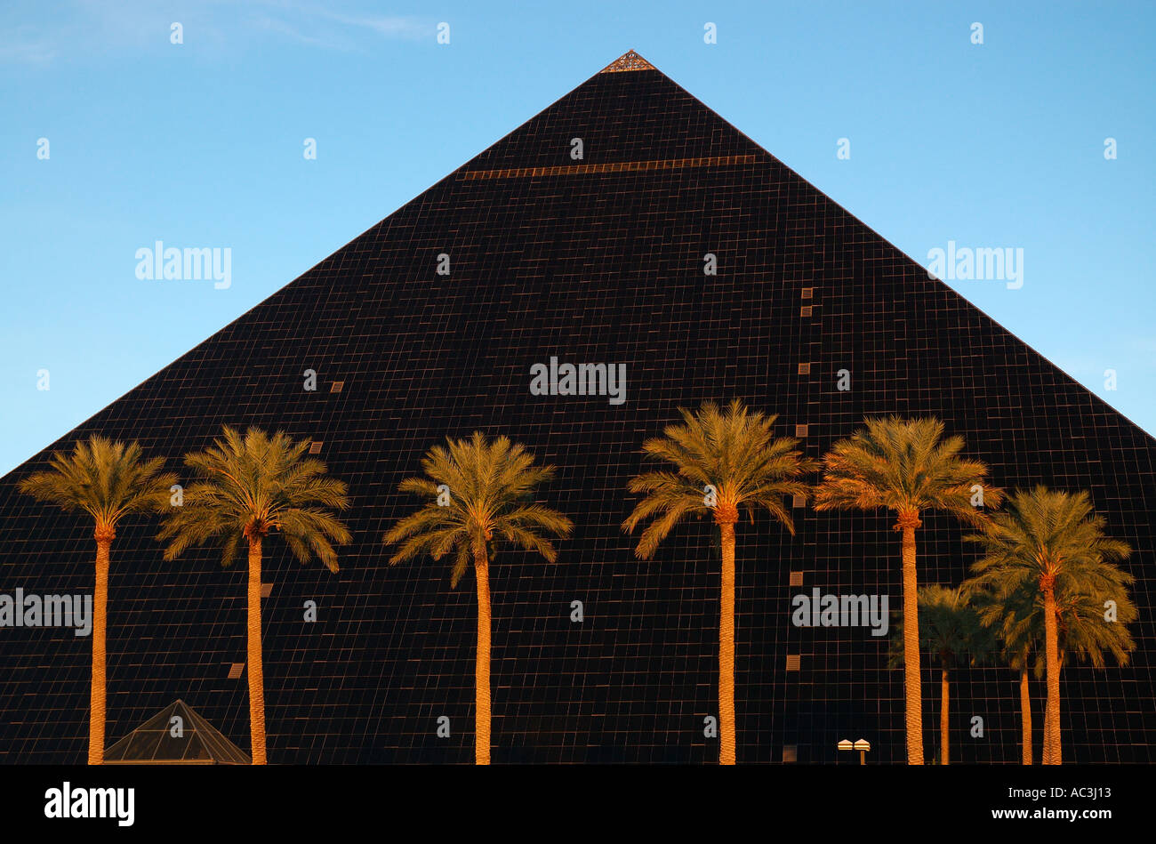 Luxor-Pyramiden mit Palmen bei Sonnenuntergang in Las Vegas Stockfoto