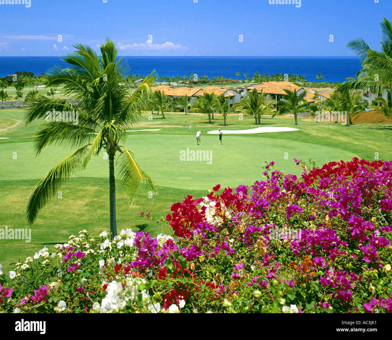 USA - HAWAII: Keauhou Kona Golfplatz auf der Big Island Stockfoto