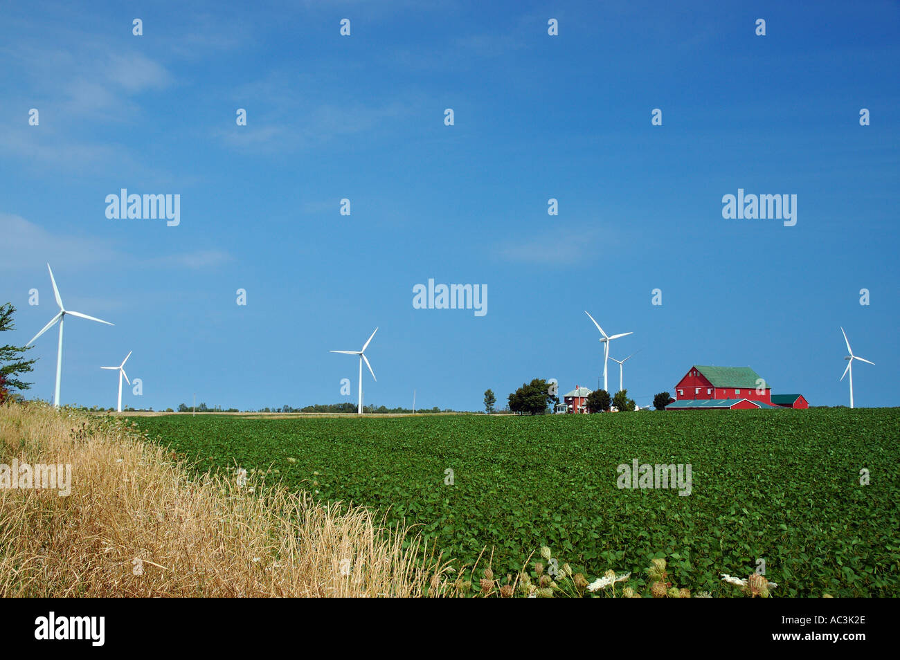 Windkraftanlagen neben dem roten Bauernhaus und dem Bereich der grünen Pflanzen Stockfoto