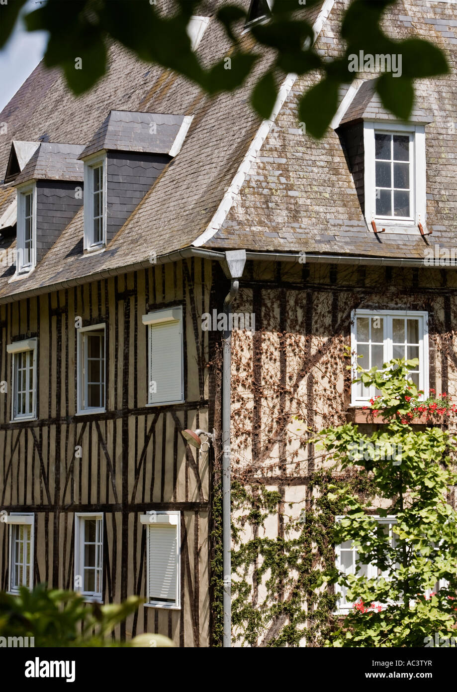 Mittelalterliches französisches Herrenhaus mit steilem Walmdach und überhängendem Laub im Vordergrund in frankreich eu Stockfoto