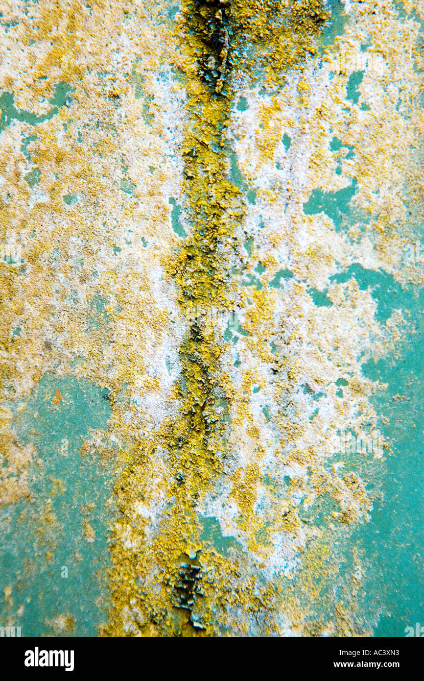 bunte strukturierte Muster von Rost und Algen auf Stahlblech Stockfoto