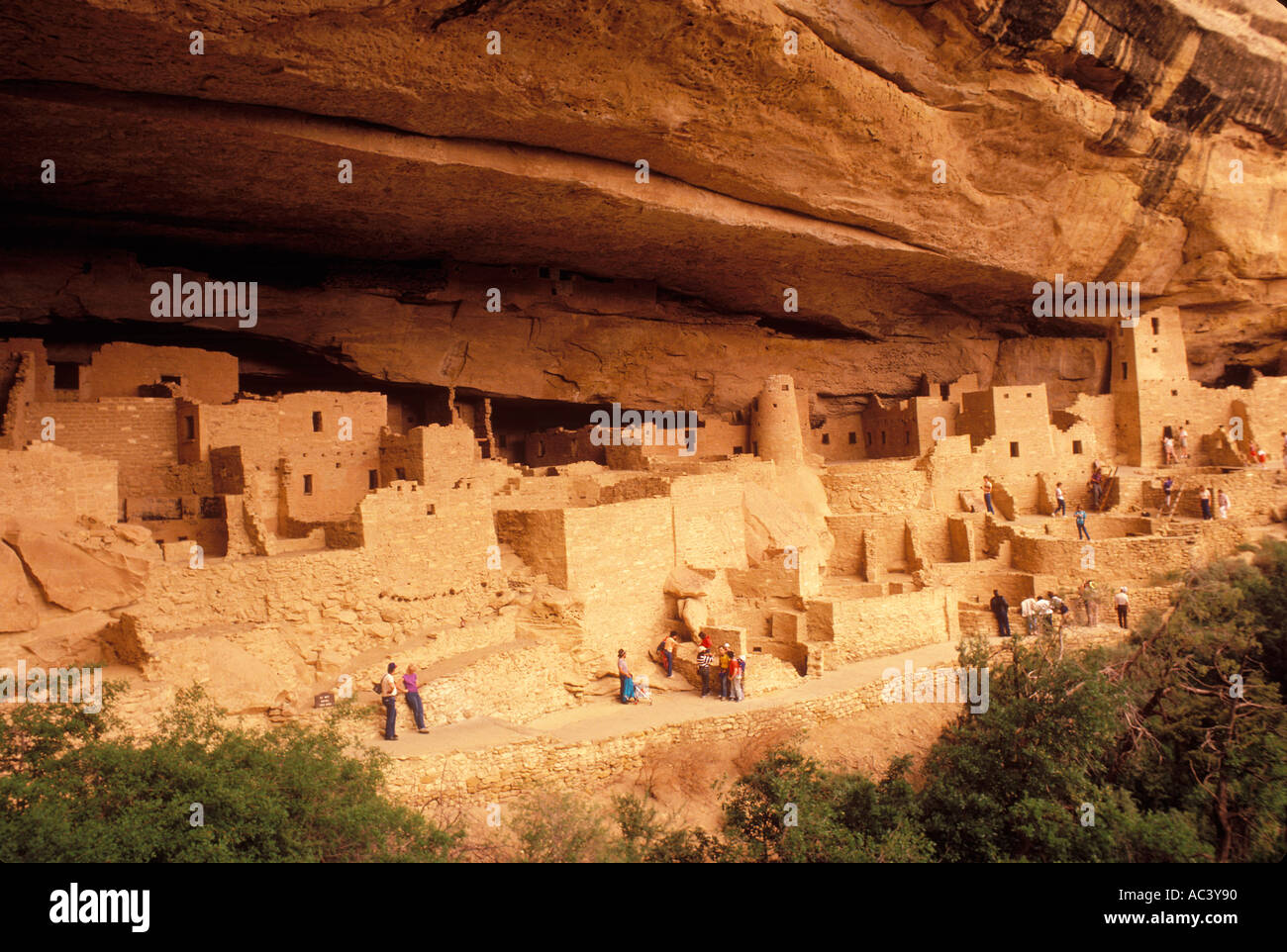 Anasazi Indianer ruins Cliff Palace Mesa Verde Nationalpark-Colorado Stockfoto