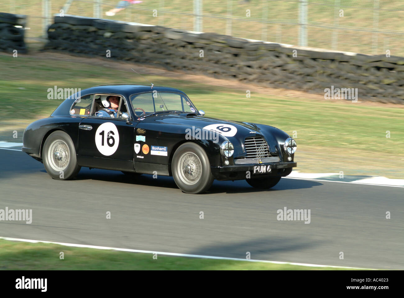 Aston Martin DB2-Sportwagen in Oulton Park Rennstrecke Tarprley Cheshire England Vereinigtes Königreich Großbritannien Stockfoto