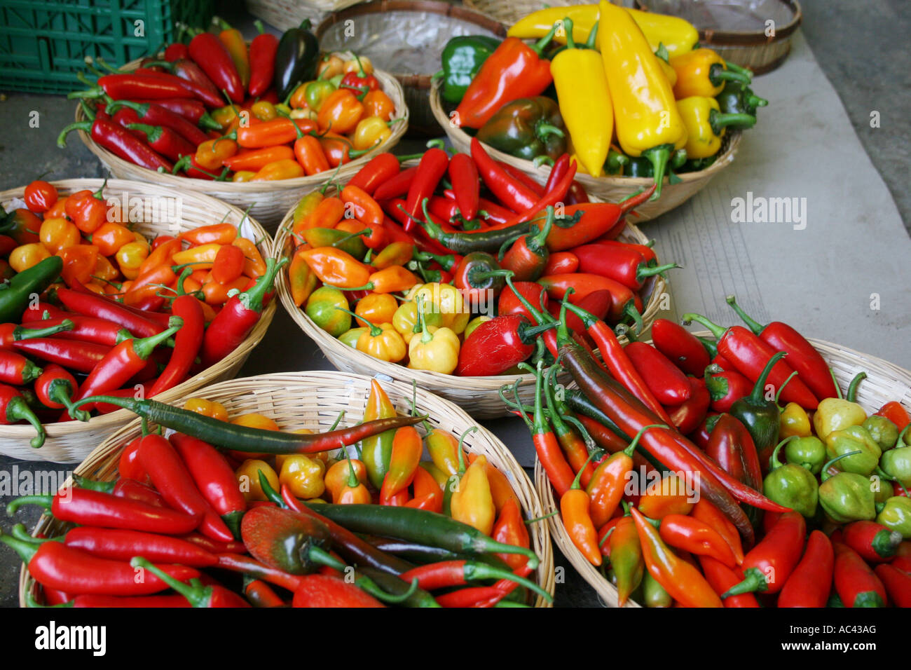 Chilischoten. Bunte Vielfalt in Körben. Landschaft. Blunham, Bedfordshire, UK. Stockfoto