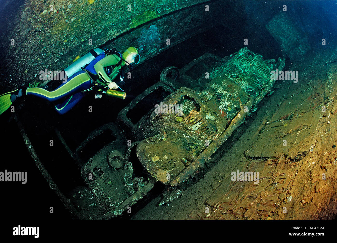 Taucher Tauchen in der Umbrien Schiffbruch Militärfahrzeuge Sudan Afrika Rotes Meer Wingate Reef Stockfoto