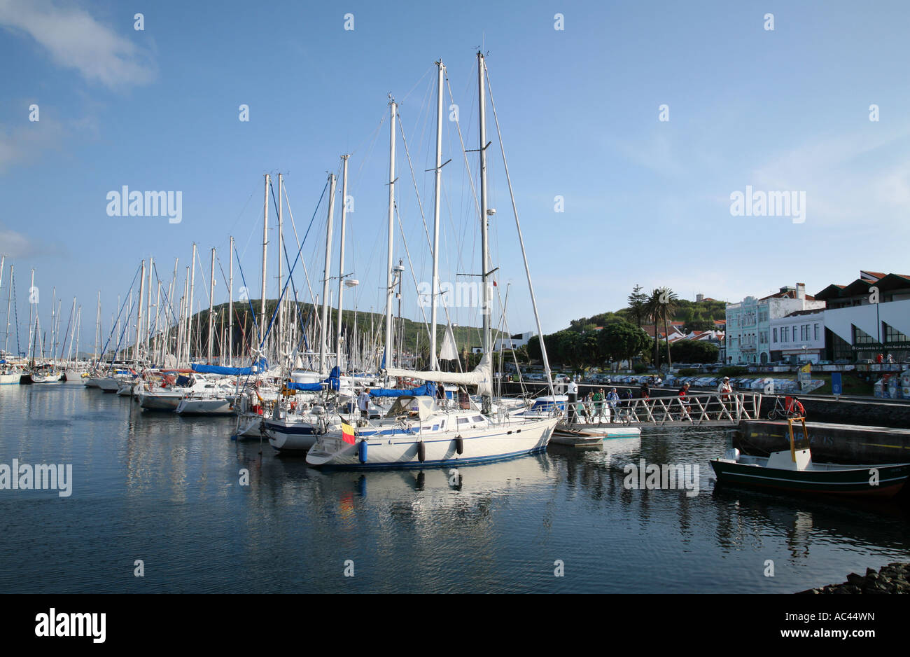 Yachten ankern in der Marina Horta, die Azoren Stockfoto