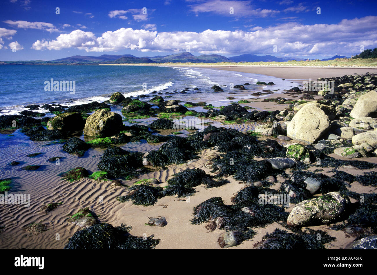 Harlech Strand Snowdonia Gwynedd Wales UK 43505JM2 Stockfoto