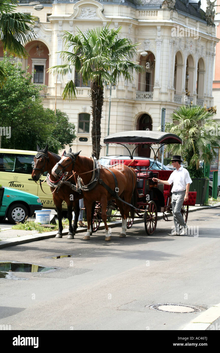Pferdekutsche mit Fahrer in Karlsbad, Tschechische Republik, parkt in der Nähe historischer Architektur, umgeben von üppigem Grün und Stadtleben. Stockfoto