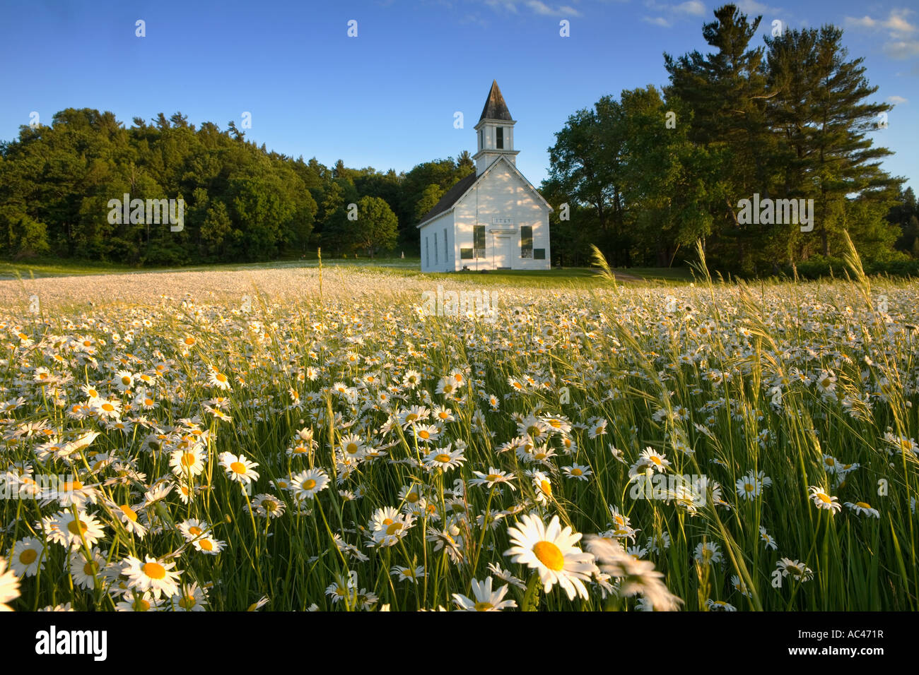 Bereich der weißen Margeriten umgeben Inder Schlosskirche erbaut von Sir William Johnson Herkimer County, Bundesstaat New York Stockfoto